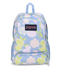 Doubleton Backpack
